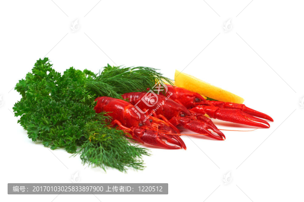 水煮小龍蝦配蒔蘿