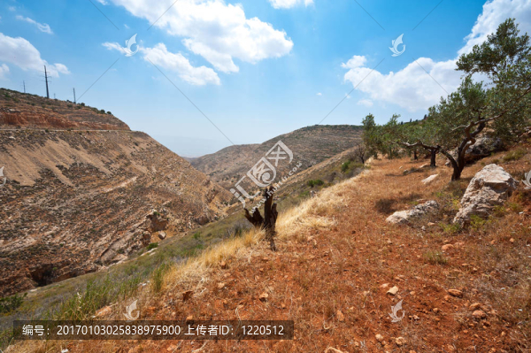 Samaria；以色列
