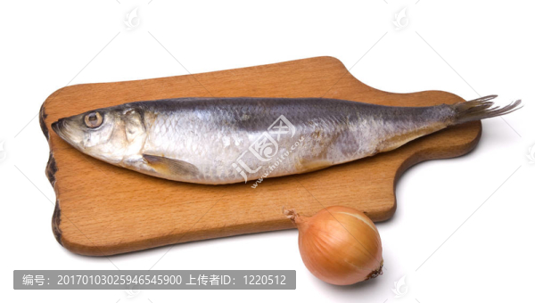 白色背景上的鯡魚和洋蔥