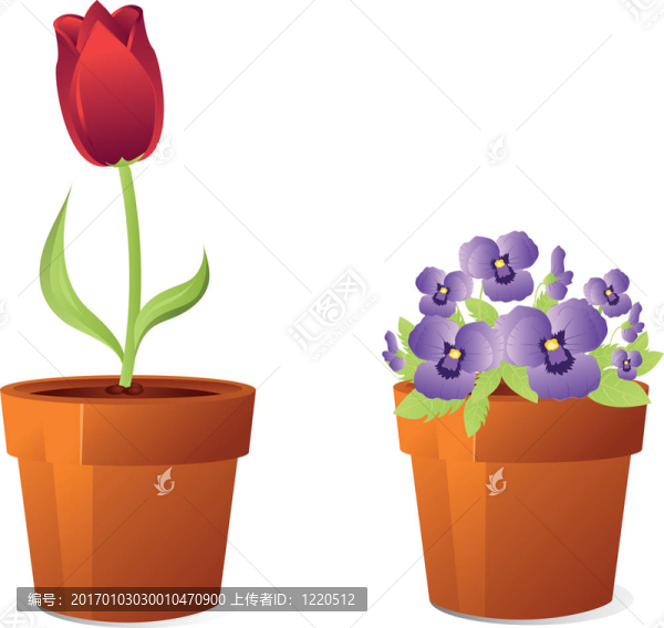 盆栽春花