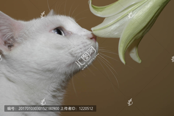 聞起來像春天！