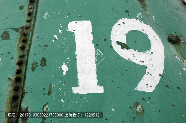 十九