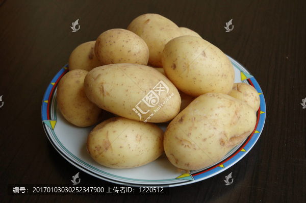新土豆