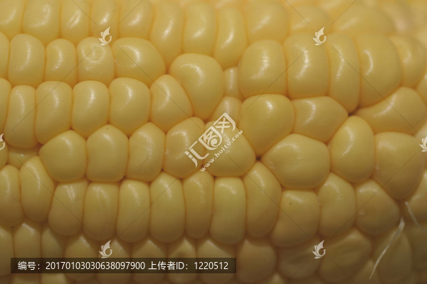 奇怪的玉米