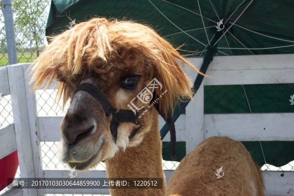 糟糕的一天