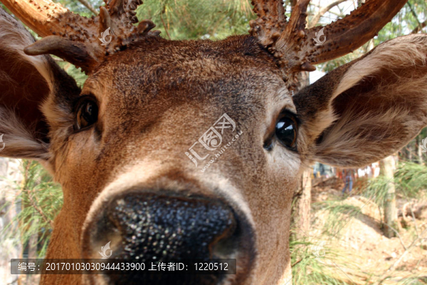 在你的臉上