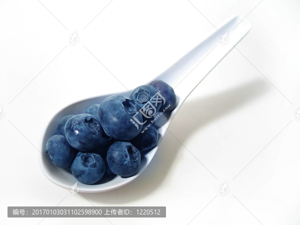 藍莓scoop3