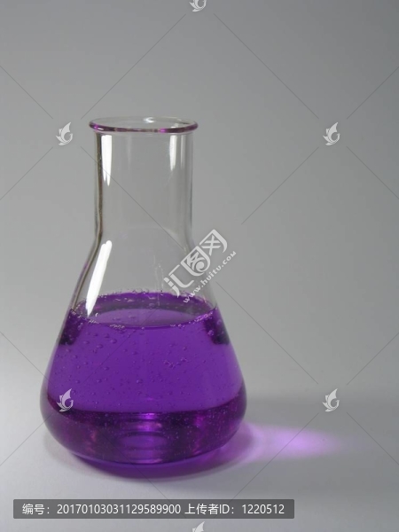 紫conicalflask