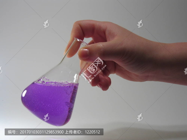 紫conicalflask