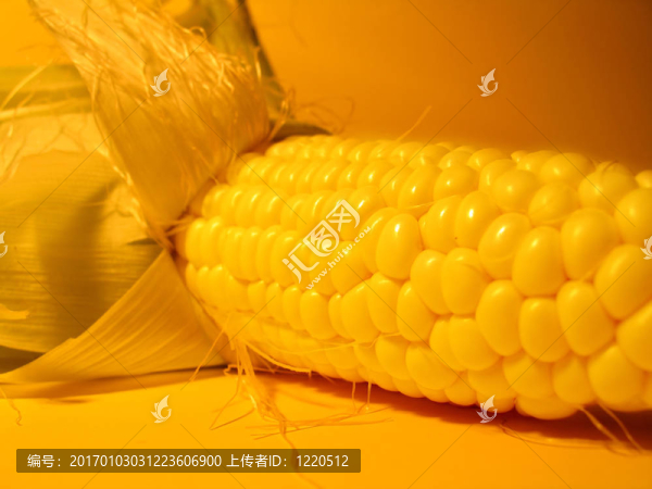 新鮮玉米2