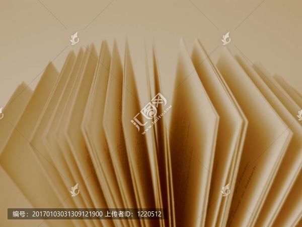 一本書的書頁