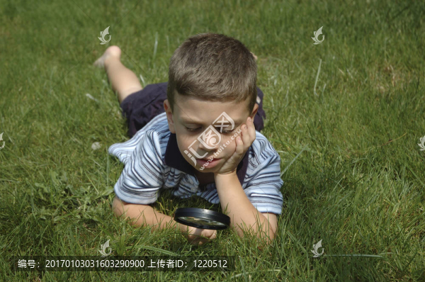 觀察自然2
