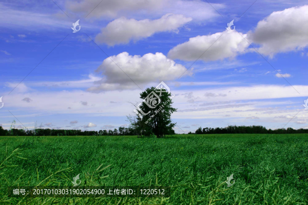 藍色的天空