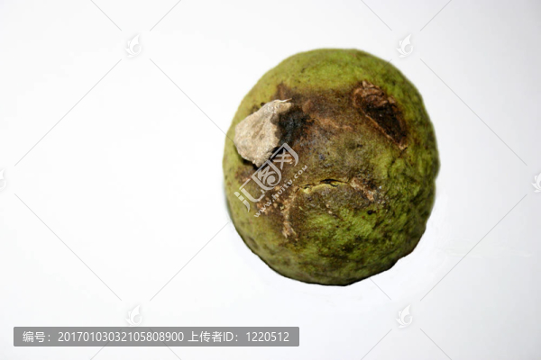 面對核桃