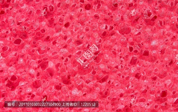海綿質(zhì)地