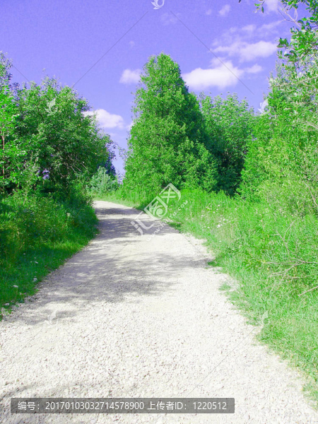路