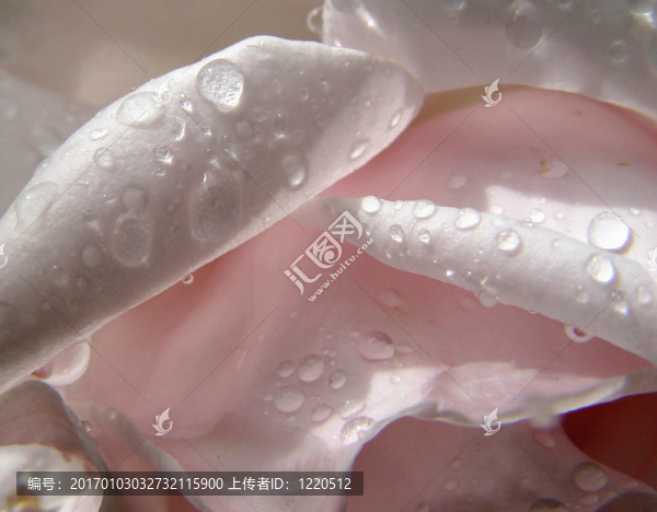 雨后