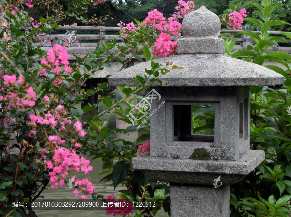 燈籠和鮮花