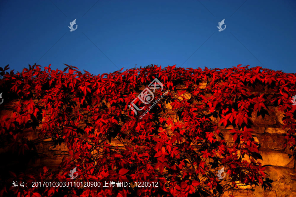 紅籬笆；藍(lán)天