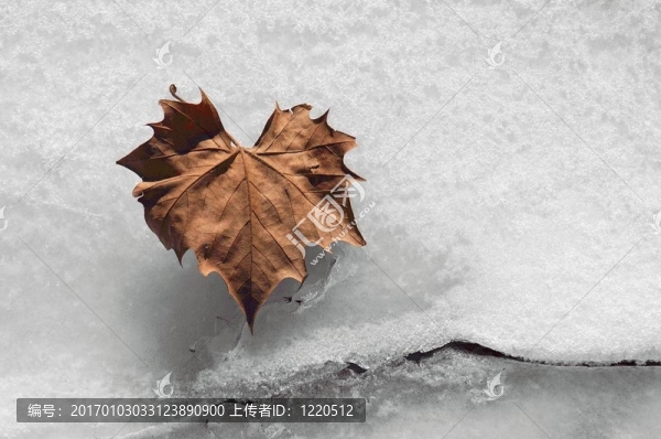 墮落的心