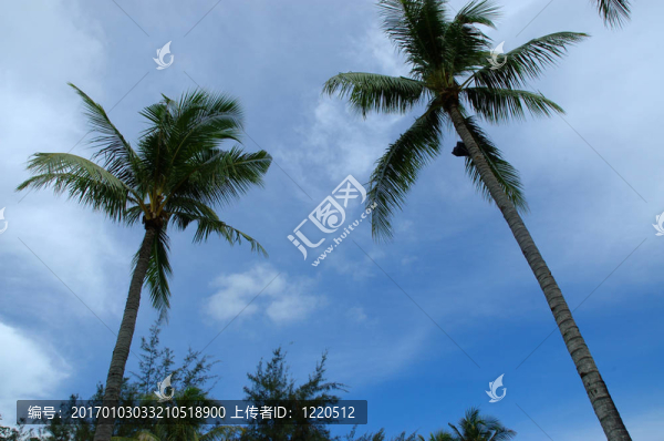 藍色的天空3