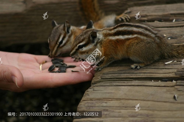 點(diǎn)心時(shí)間