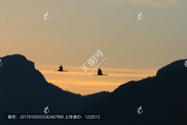 在黎明的陰影