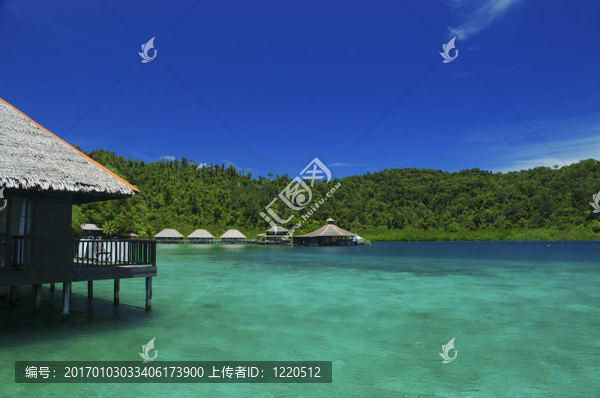 房子在水上