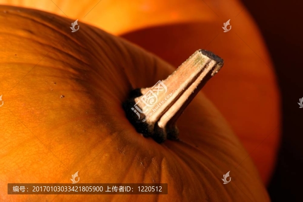 南瓜