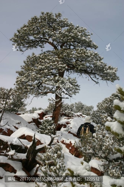 雪！