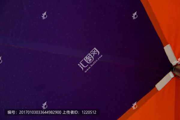 紫色