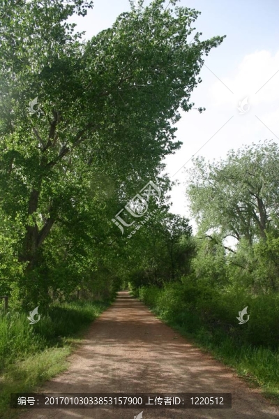 河濱步道