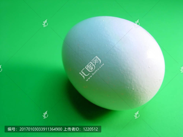 雞蛋