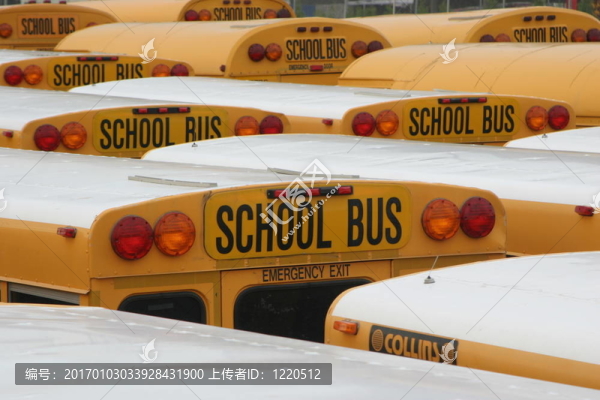 黃色的校車