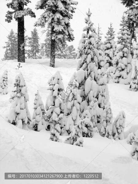第一場雪