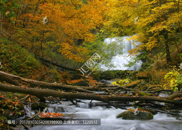 較低的Decew,Falls