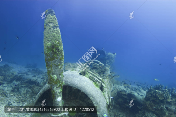 二戰(zhàn)的魚雷轟炸機(jī)