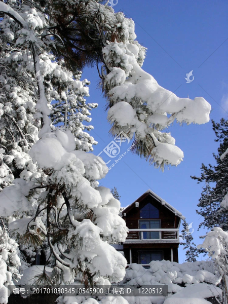 雪地里的小屋