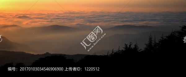 全景