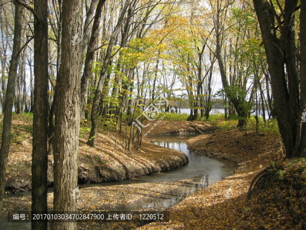 秋天的場景