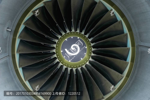 葉片737