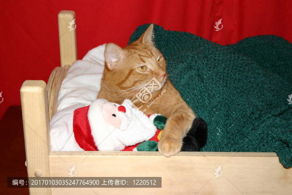 基蒂和圣誕老人