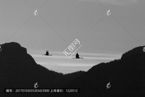 在黎明的陰影