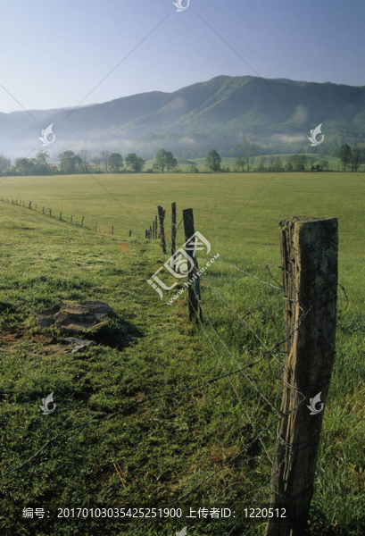 籬笆；Cades,Cove