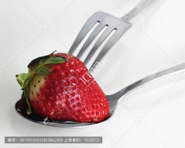 斗爭的漿果