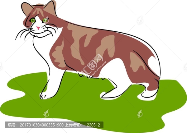 貓