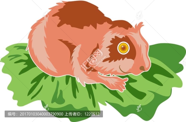 倉鼠