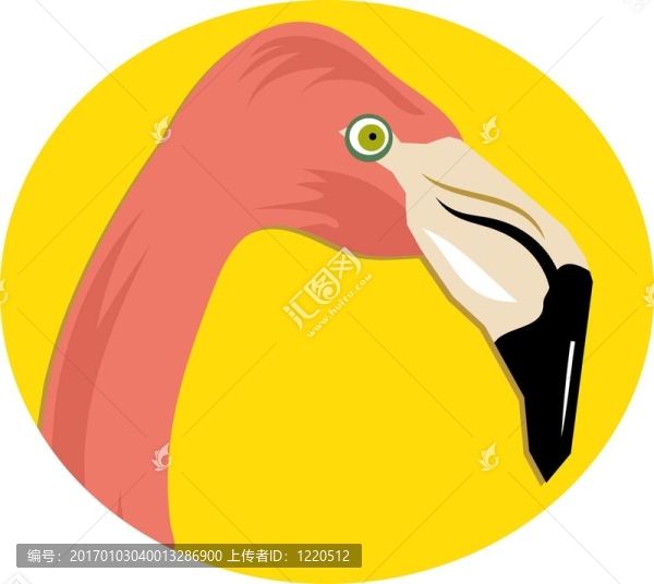 粉紅火烈鳥