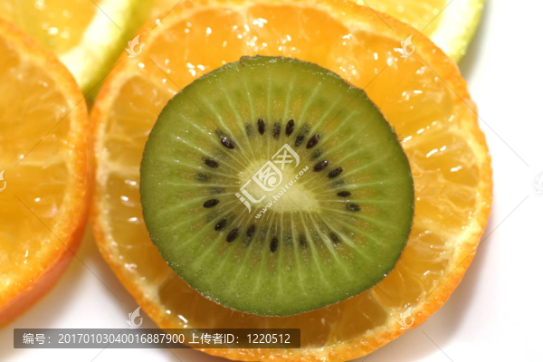 幾維鳥(niǎo)
