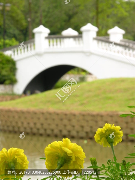 花和橋